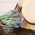 Organic Certified Solid Soap - Lavender & Rosemary with Lavender flowers 90g